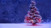 Decorated-Christmas-Tree.jpg